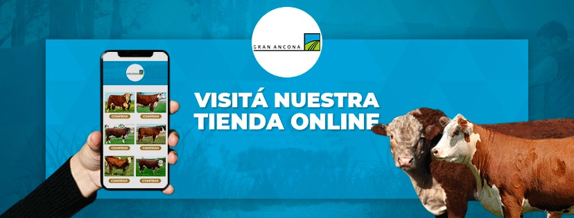 Ventas de toros y vacas